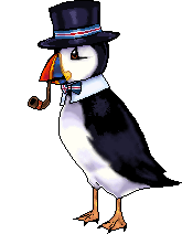 puffin
