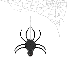 spider