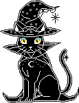 cat witch