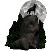 wolf howl