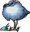 bird