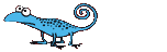 lizard