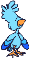 bird
