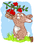 rabbit