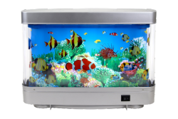 aquarium
