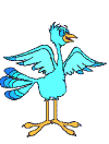 bird