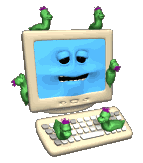 computer bugs