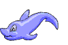 dolphin