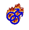 flaming homo