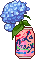 hydrangea