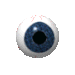eye