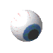 eye