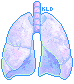 lungs