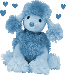 poodle