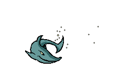 shark swim