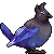 stellers jay