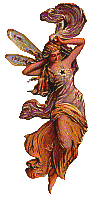fairy