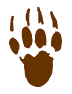 bear paw