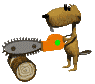 beaver