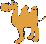 camel