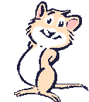 rodent
