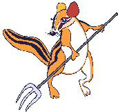 chipmunk