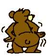 bear