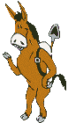 donkey