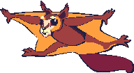 flying squirrel