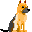 german shepherd