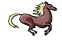 horse