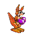kangaroo