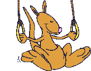kangaroo