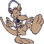 kangaroo