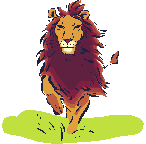 lion