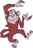 monkey