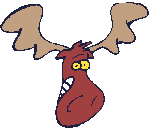moose