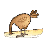 ostrich