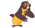 owl