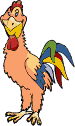 rooster