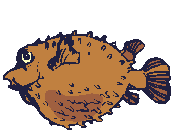 pufferfish