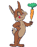 rabbit