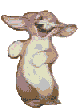 bunny