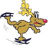reindeer