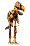 dino skeleton