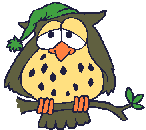 owl