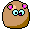 rodent