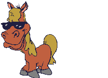 horse