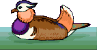 duck