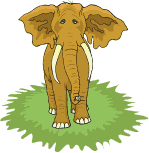 elephant